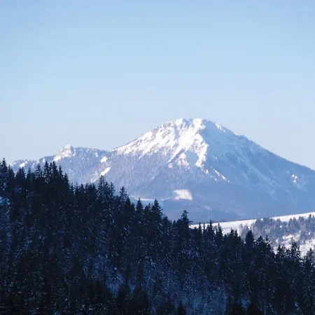 Koliba Holica 3* Наместово